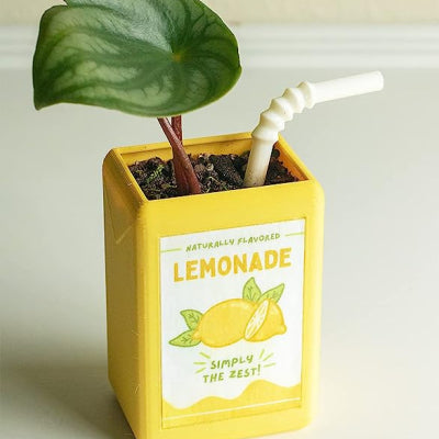 Lemon Kawaii Juice Box Resin Flower Pot | Cute Mini Planter for Succulents & Desk Decor
